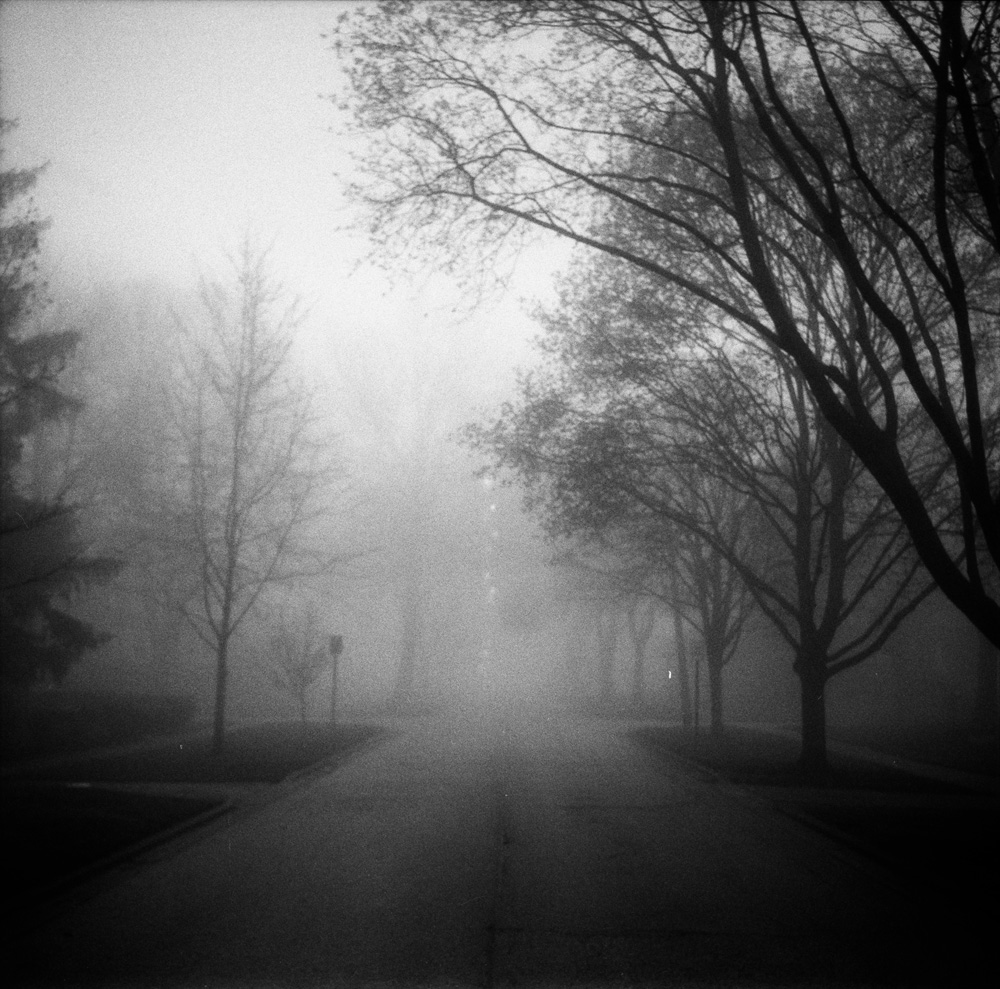 Foggy Neighborhood Street 2
