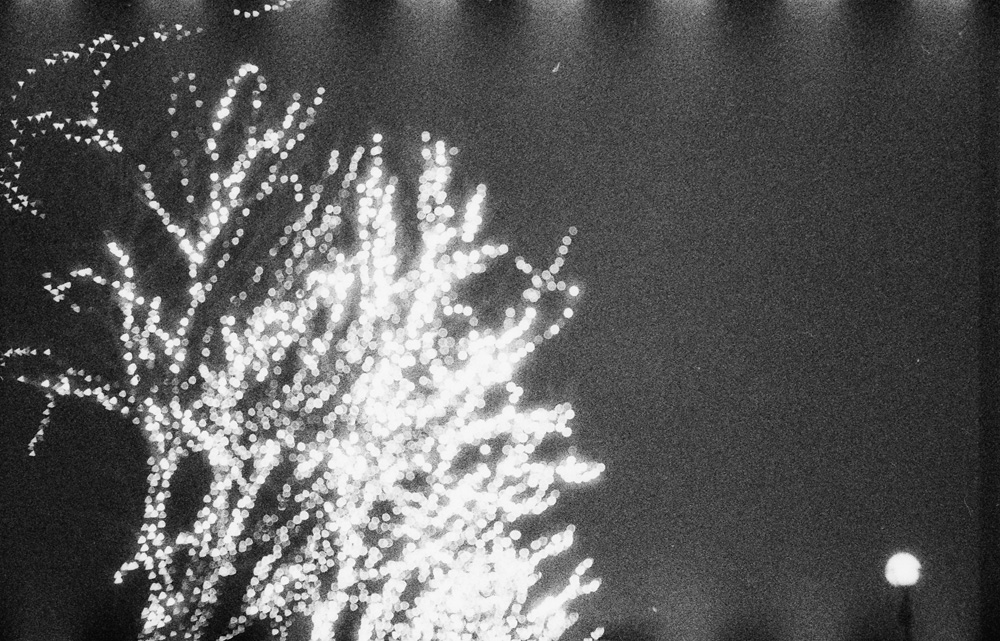 Out of Focus Zoo Lights 2