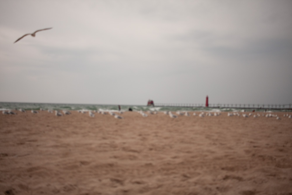 Seagulls and Pier Out of Focus