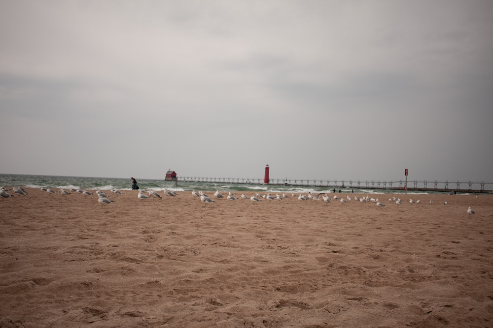 Seagulls and Pier in Focus